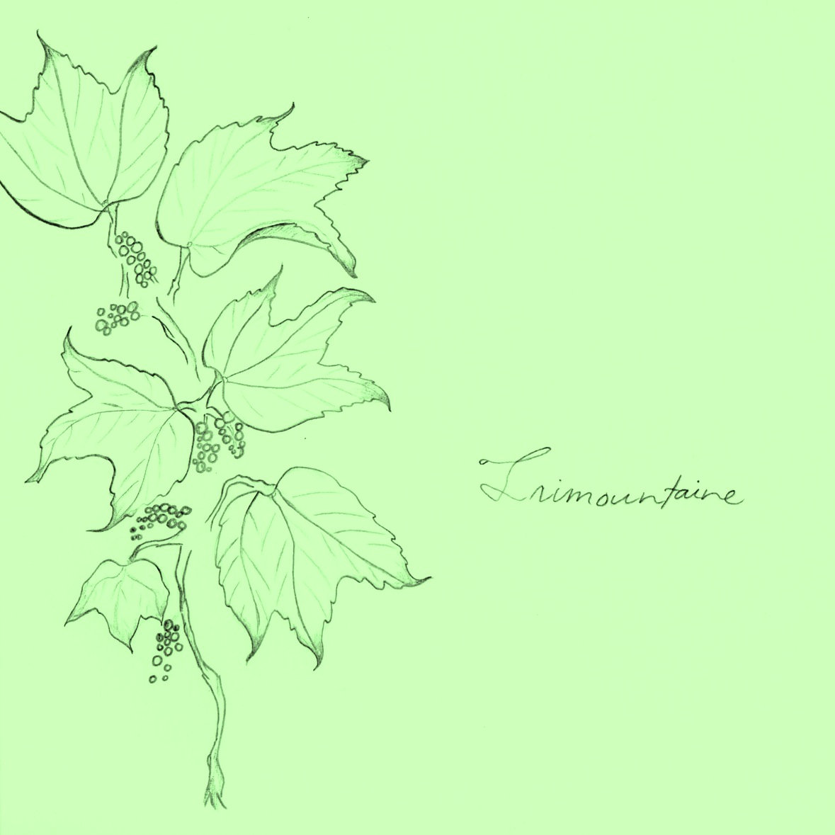 For the Rest of My Life