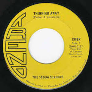 Anatomy of a Shadow (30) (Instrumental)
