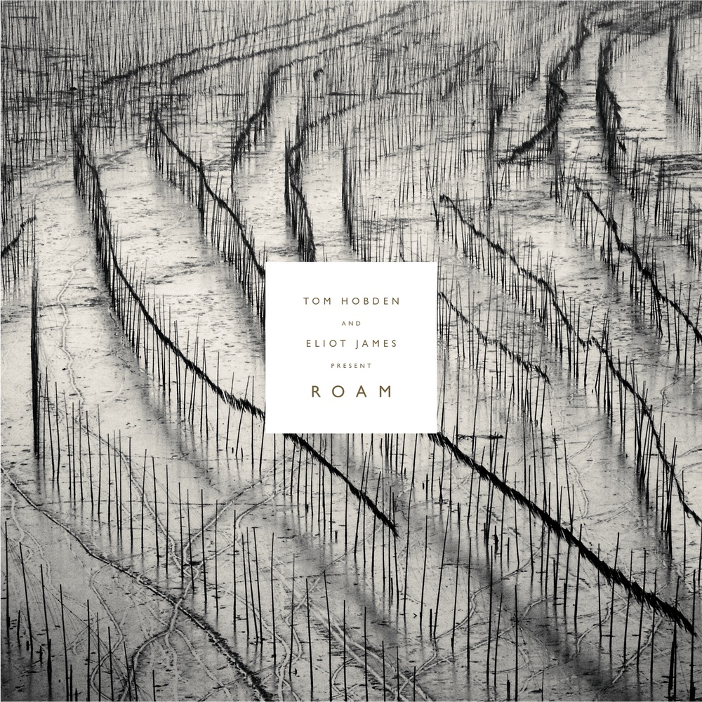 Plessey Wood (Instrumental)