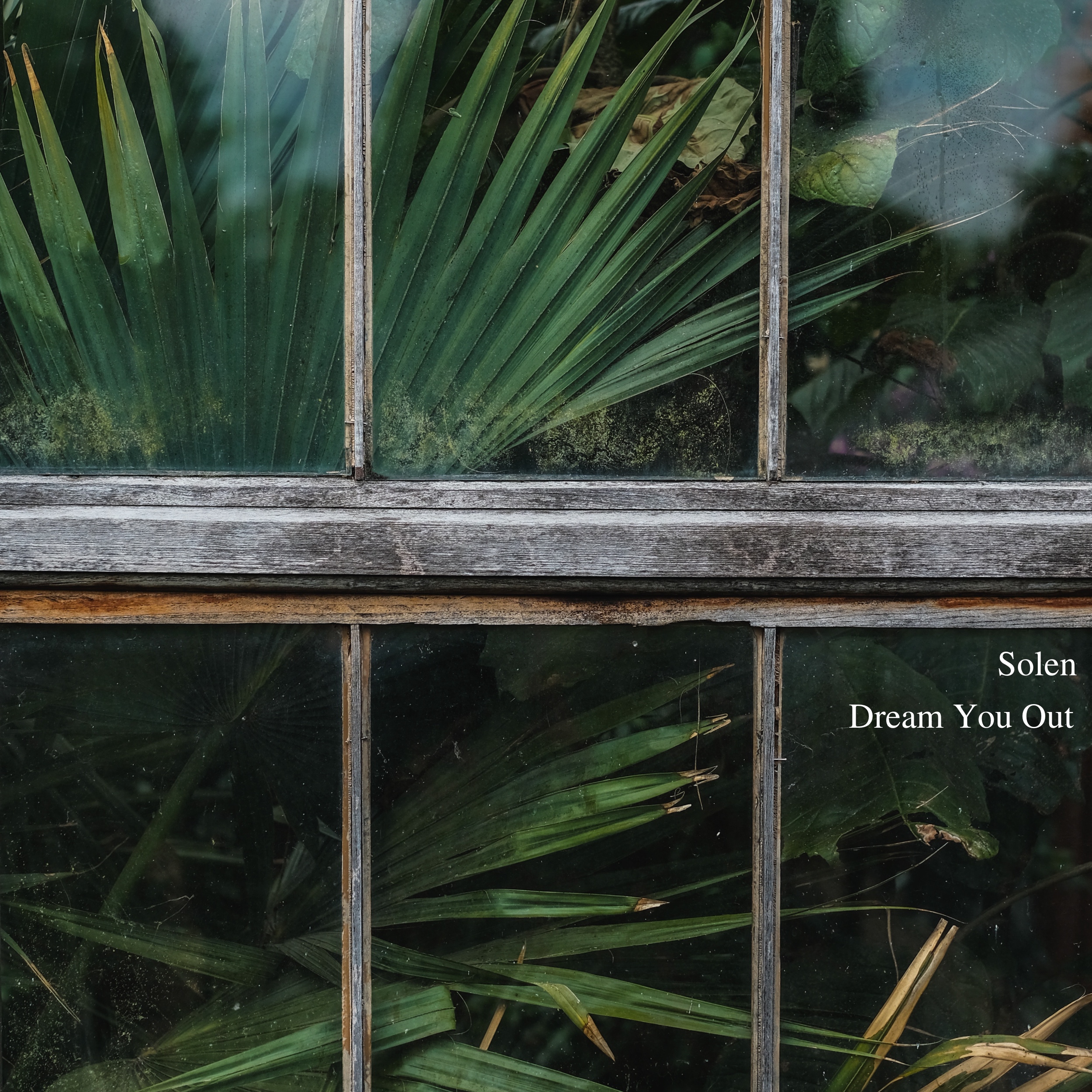 Dream You Out