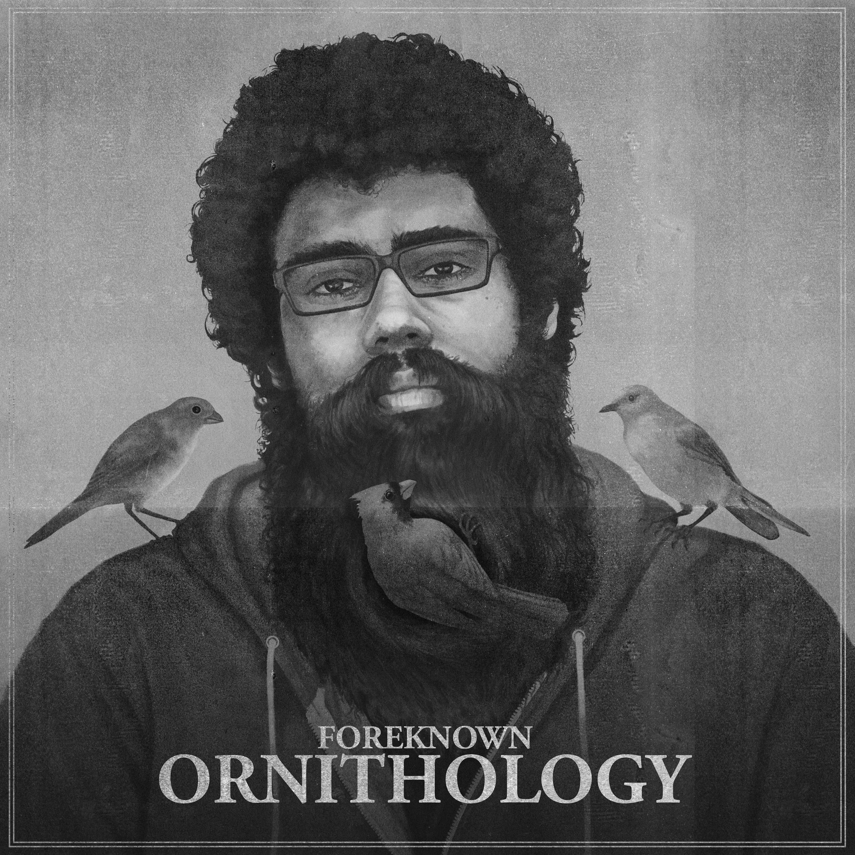 Bird in the Hand (Instrumental)