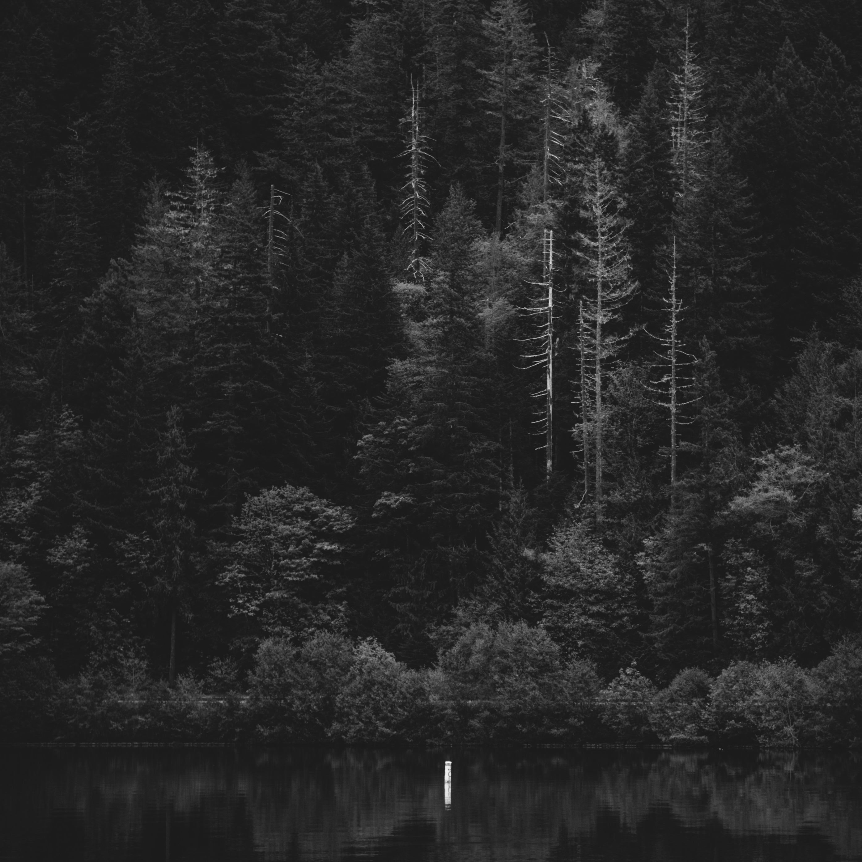 Lucius (Instrumental)